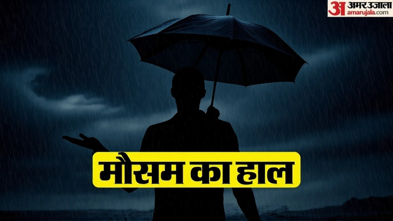 आगे क्या देखें – अगले कदम